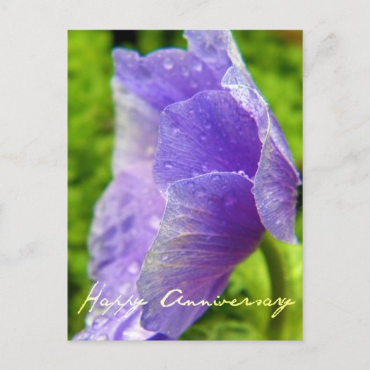Carte Postale Anniversaire des fleurs violettes (Devant)