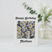 Carte Postale Anniversaire des marguerites blanches (Debout devant)