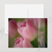 Carte postale Anniversaire des Tulipes roses (Devant / Derrière)