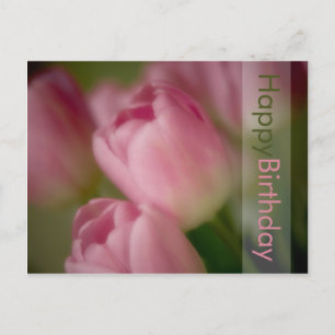 Carte postale Anniversaire des Tulipes roses