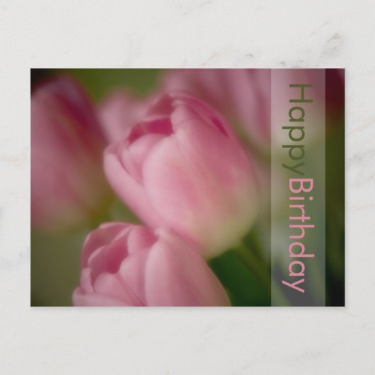 Carte postale Anniversaire des Tulipes roses (Devant)