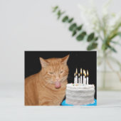 Carte Postale Anniversaire drôle de chat (Debout devant)