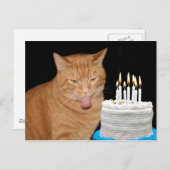 Carte Postale Anniversaire drôle de chat (Devant / Derrière)