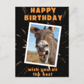 Carte Postale Anniversaire drôle de l'âne (Devant)