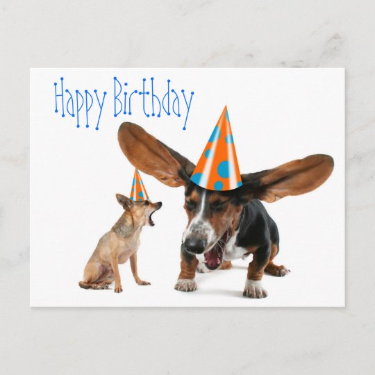 Carte Postale Anniversaire Drole Du Chien Zazzle Be