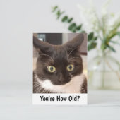 Carte Postale Anniversaire du chat noir (Debout devant)