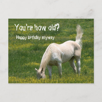 Carte Postale Anniversaire du cheval