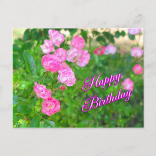 Carte Postale anniversaire heureux (Devant)