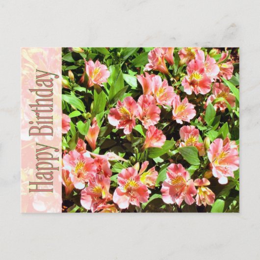 Carte Postale anniversaire heureux (Devant)