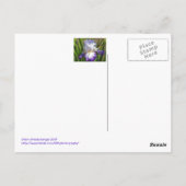 Carte postale Anniversaire/Iris blanc et violet/Me (Dos)