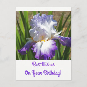 Carte postale Anniversaire/Iris blanc et violet/Me