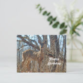 Carte Postale Anniversaire photo de Wildlife Deer Woods (Debout devant)