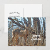 Carte Postale Anniversaire photo de Wildlife Deer Woods (Devant / Derrière)