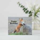 Carte Postale Anniversaire Renard Rouge Debout (Debout devant)