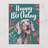Carte Postale Anniversaire Weimaraner (Devant)