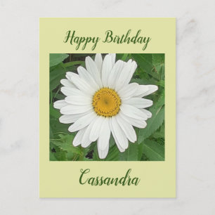 Carte postale Anniversaire White Daisy