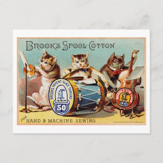 Carte Postale Annonce de chats en coton Spool Brook (Devant)