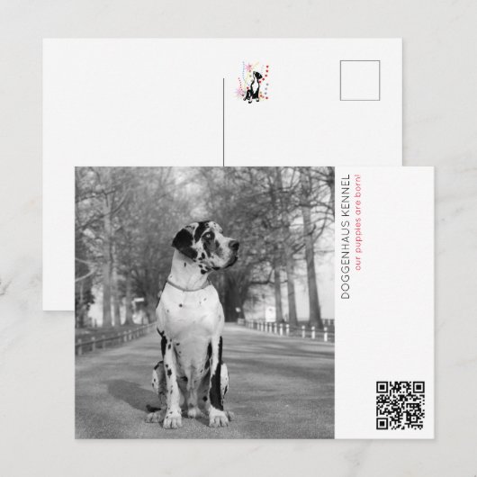 Carte Postale Annonce de chiots (Devant / Derrière)