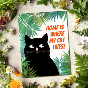 Carte Postale Annonce de déménagement de chat noir