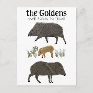 Carte Postale ANNONCE DE DÉMÉNAGEMENT Famille Javelina Désert Te