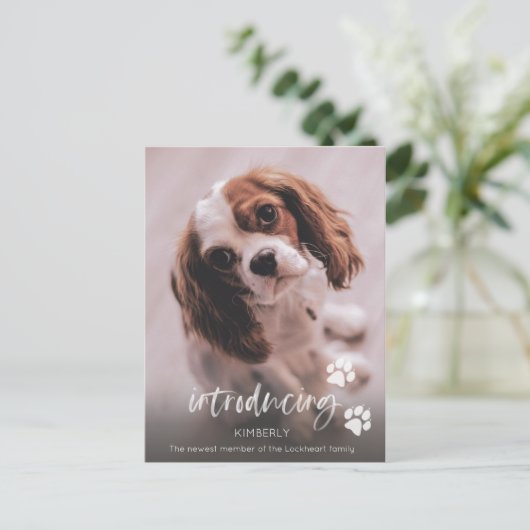 Carte Postale Annonce d'un nouveau chiot, Adoption d'un chien ad (Debout devant)