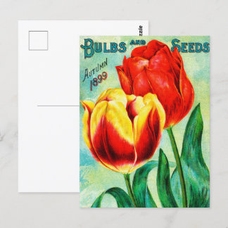Carte Postale Annonce Jardin Antique, Tulipes Rouges Jaunes