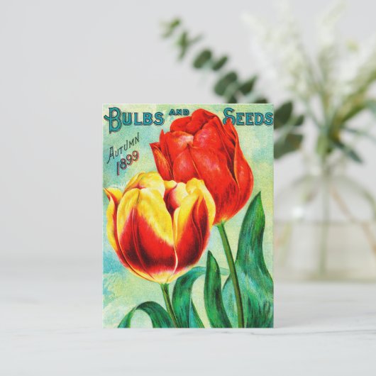 Carte Postale Annonce Jardin Antique, Tulipes Rouges Jaunes (Debout devant)