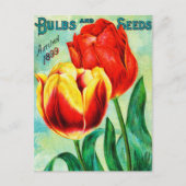Carte Postale Annonce Jardin Antique, Tulipes Rouges Jaunes (Devant)
