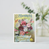 Carte Postale Annonce vintage de semences (Debout devant)