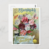 Carte Postale Annonce vintage de semences (Devant / Derrière)