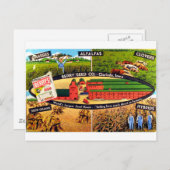 Carte Postale Annonce vintage de semences (Devant / Derrière)