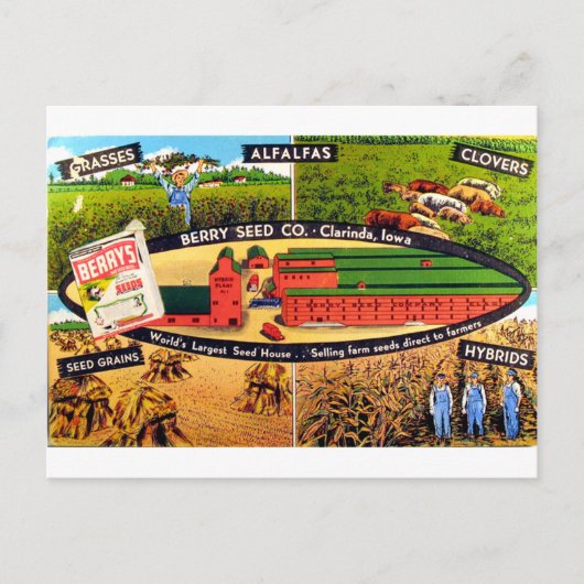 Carte Postale Annonce vintage de semences (Devant)