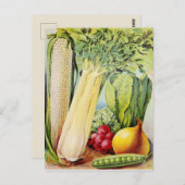 Carte Postale Annonce vintage de semences (Devant / Derrière)