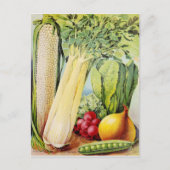 Carte Postale Annonce vintage de semences (Devant)