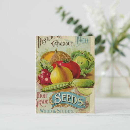 Carte Postale Annonce vintage de semences (Debout devant)
