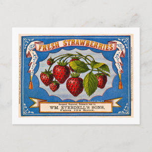 Carte Postale Annonce vintage pour fraises fraîches vers 1868