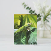 Carte Postale Anole Lizard (Debout devant)