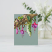 Carte Postale Anolis vert avec fuchsias (Debout devant)