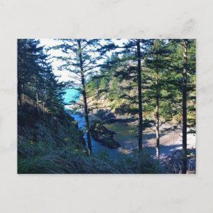 Carte Postale Anse de l'Homme Mort, cap Déception, Washington