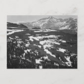 Carte Postale Ansel Adams (Devant)