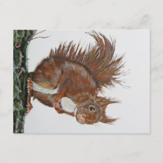 Carte Postale Ansichtkaart Eekhoorn.