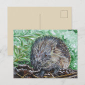 Carte Postale Ansichtkaart Egel. (Devant / Derrière)