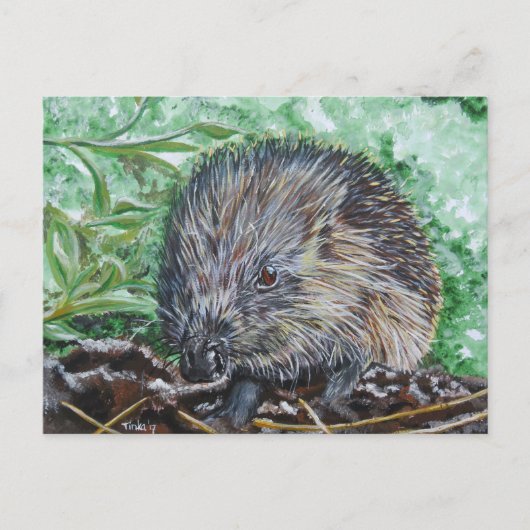 Carte Postale Ansichtkaart Egel. (Devant)