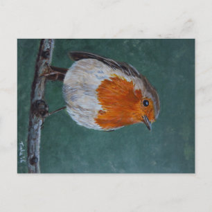 Carte Postale Ansichtkaart Roodborst.