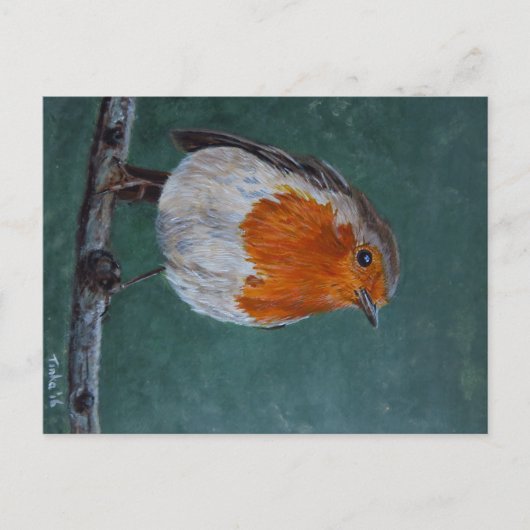 Carte Postale Ansichtkaart Roodborst. (Devant)
