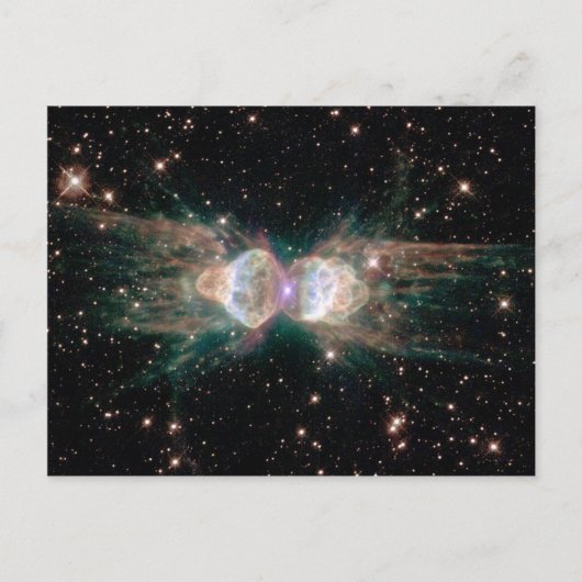 Carte Postale Ant Nebula (Devant)