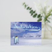 Carte Postale Antarctique (Debout devant)