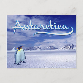 Carte Postale Antarctique