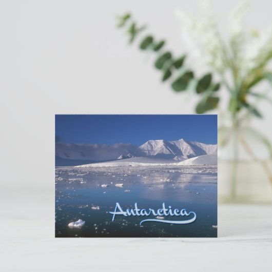 Carte Postale Antarctique (Debout devant)