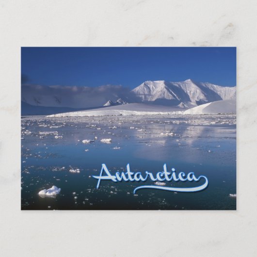 Carte Postale Antarctique (Devant)